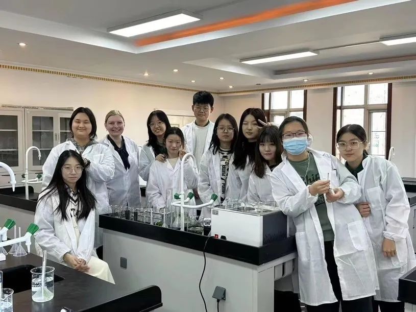 北京青苗学校怀柔校区开放日,北京青苗学校海淀校区