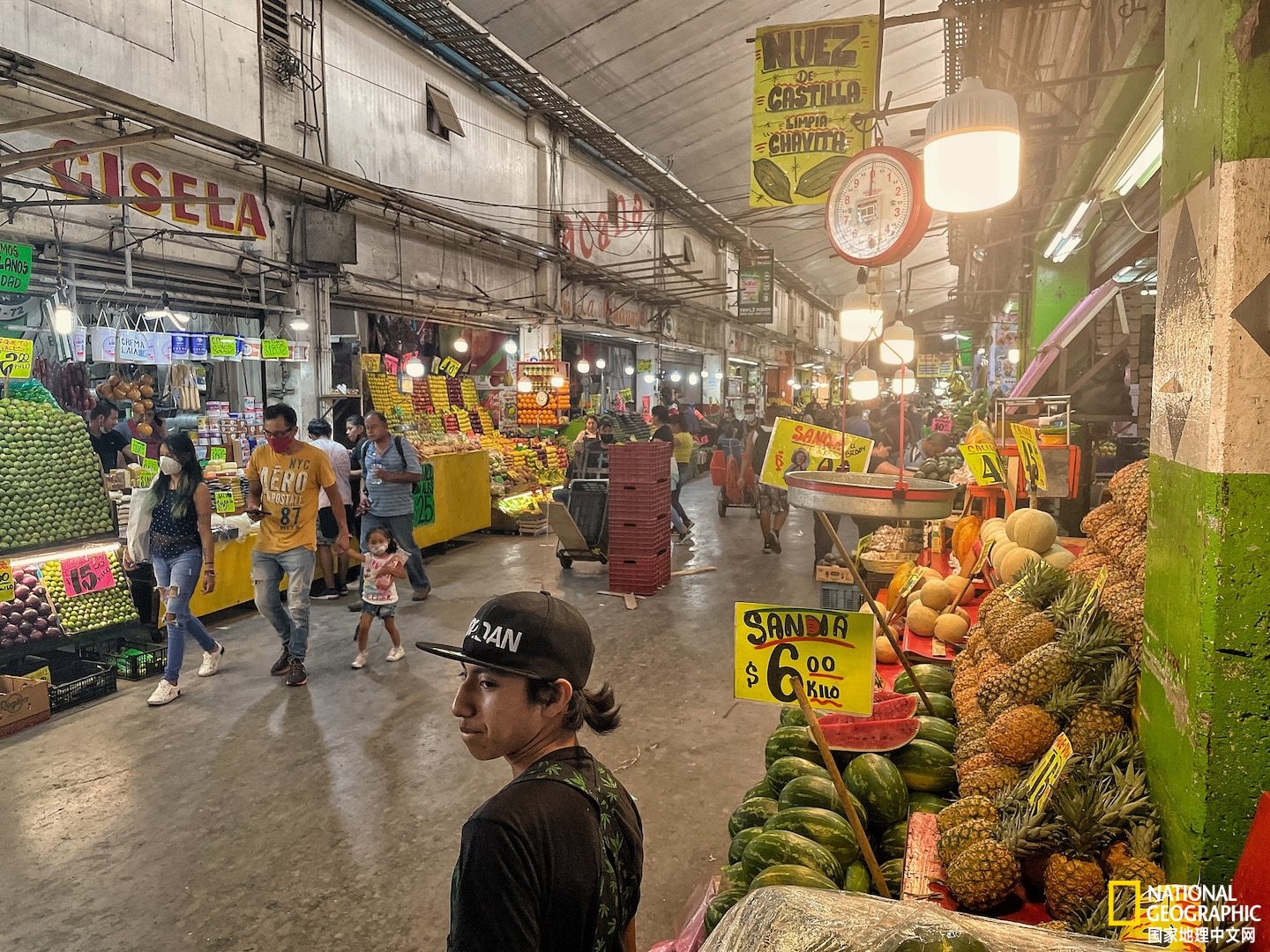 在一个小岛上种地卖菜是什么游戏,在一个岛上种地