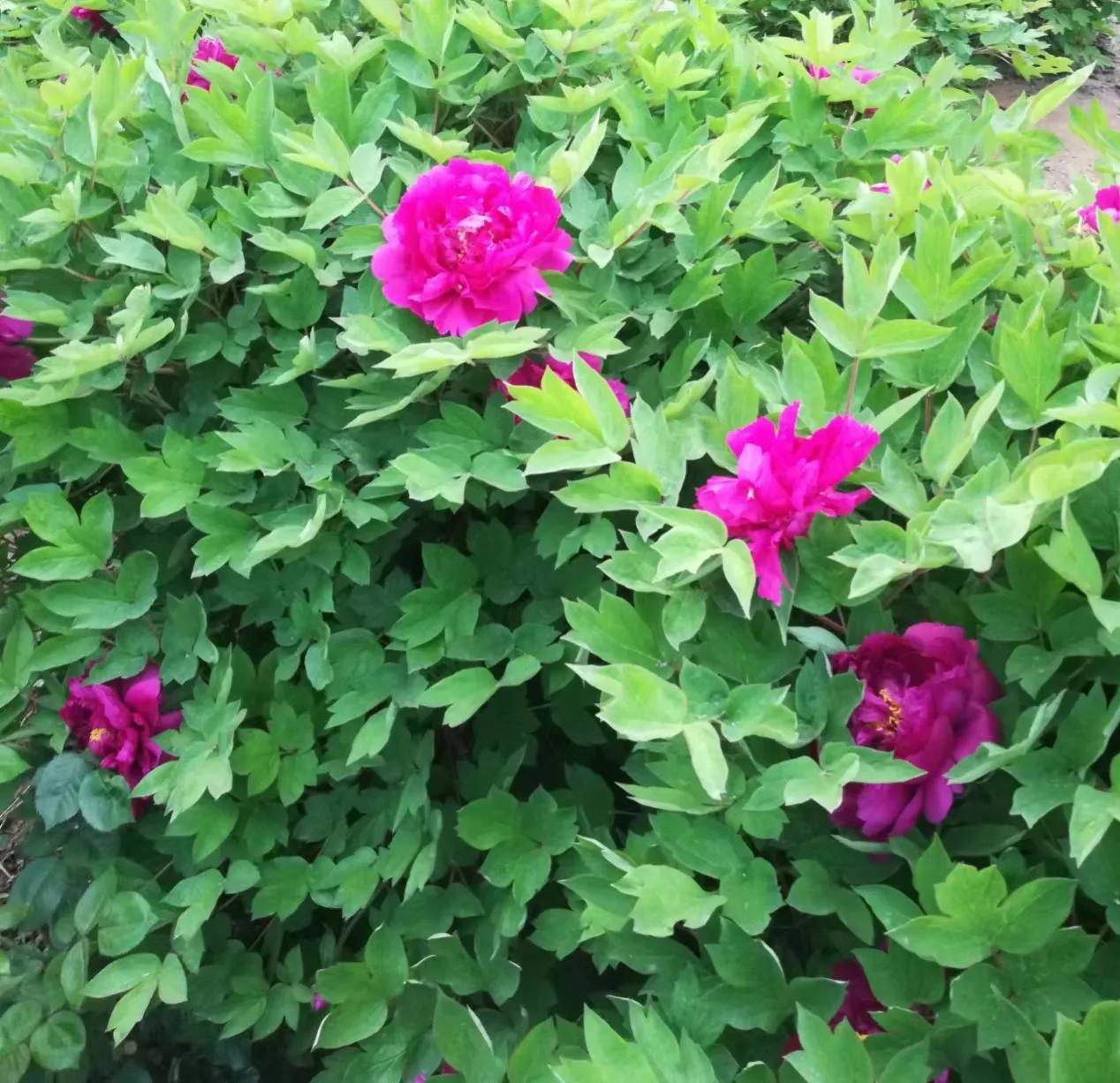 做临时工被拖工资怎么办,体制内临时工被安排很多活怎么办