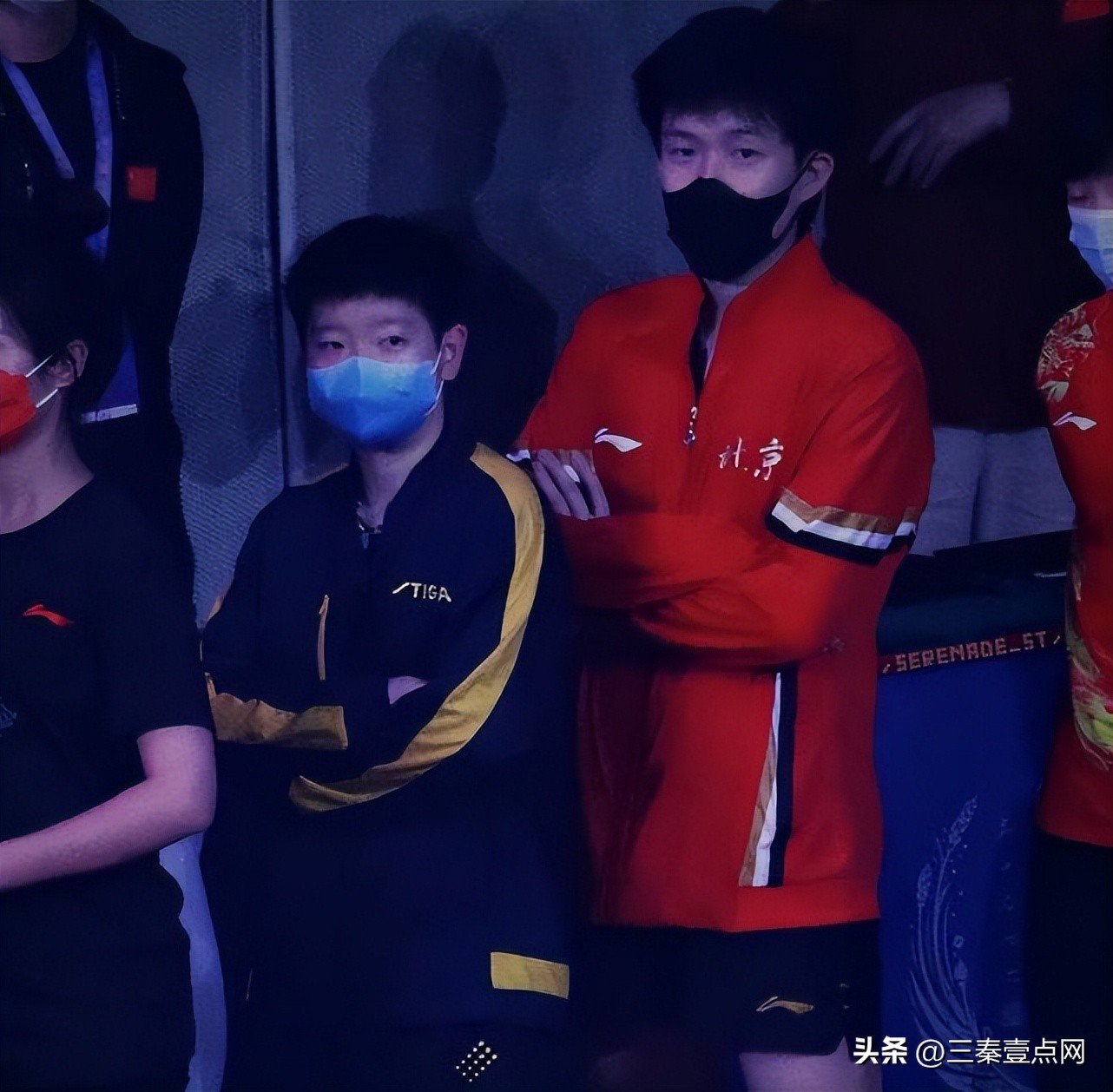 陈梦身家,陈梦的个人身价多少亿