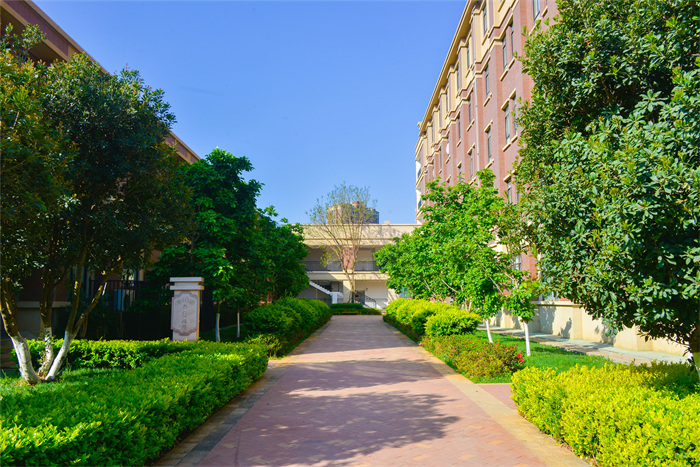 师大附小官渡小学怎么样,云南师范大学附属官渡小学视频