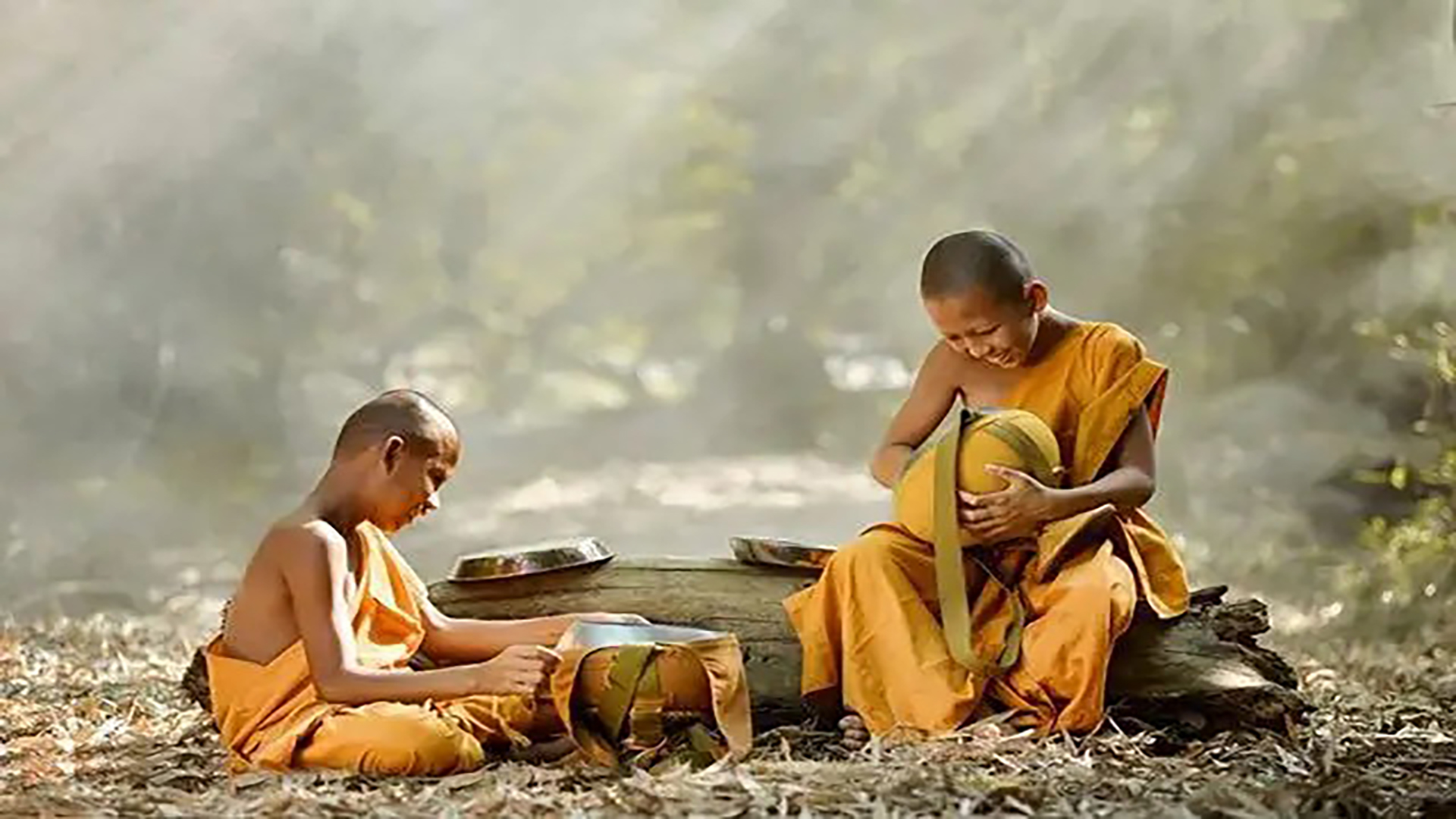 佛祖舍利之谜,佛祖指骨舍利台湾