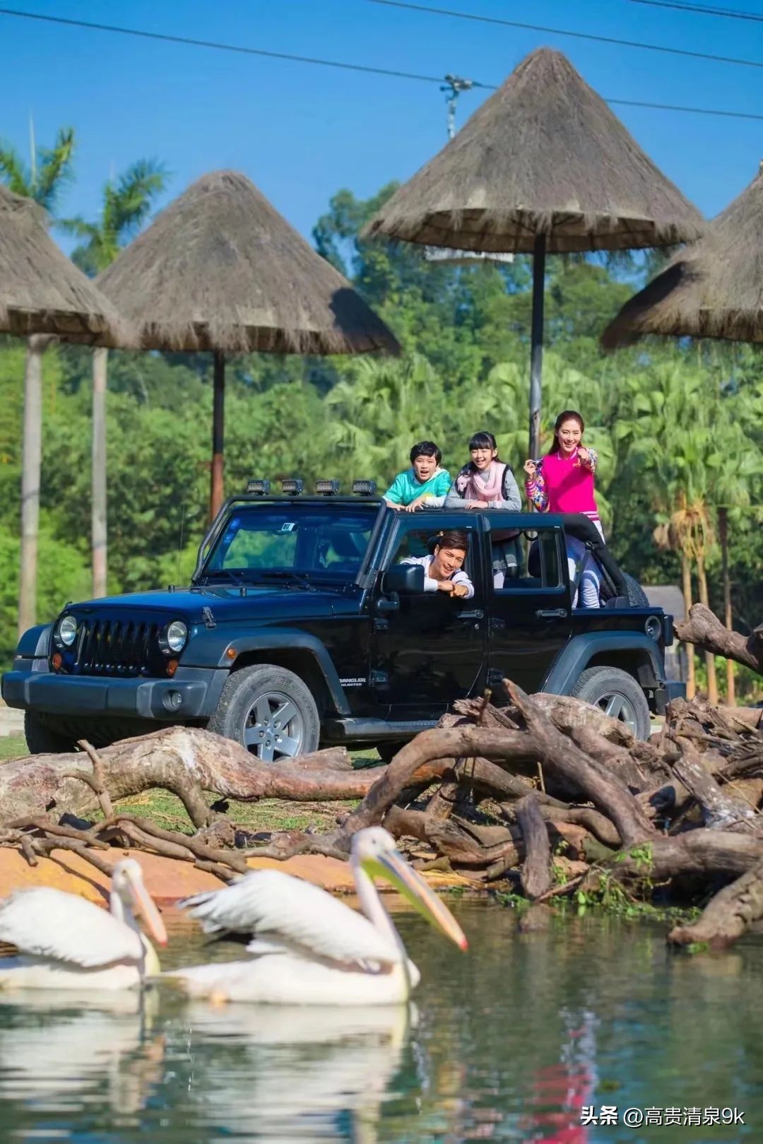 这样玩才够爽！自驾在广州，拒绝人挤人~