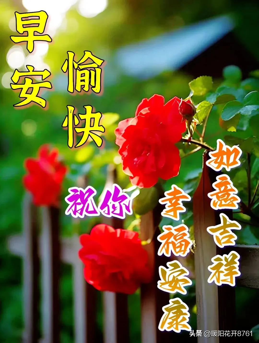 周一早安问候最新图片图文,周一早安问候语正能量简短图片