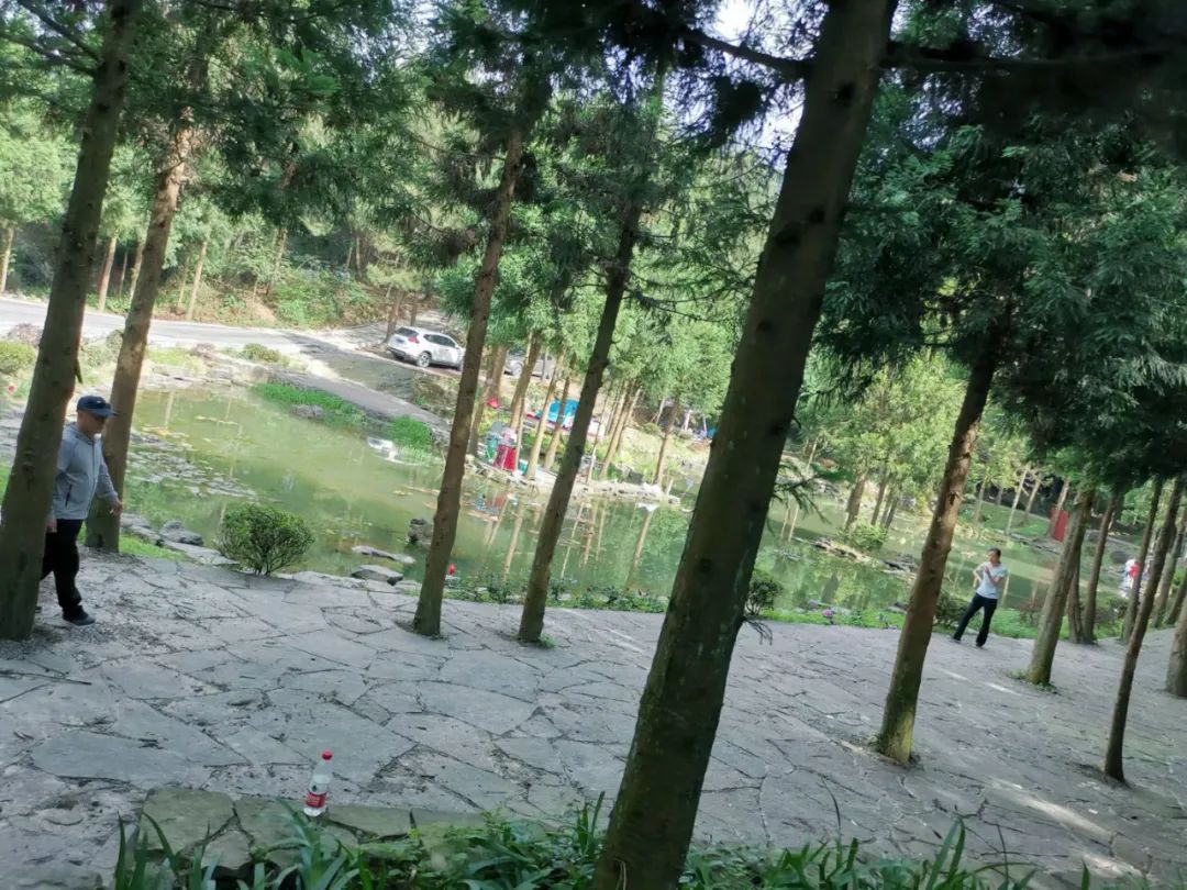 南川区金佛山旅游攻略,南川金佛山一日自驾游攻略