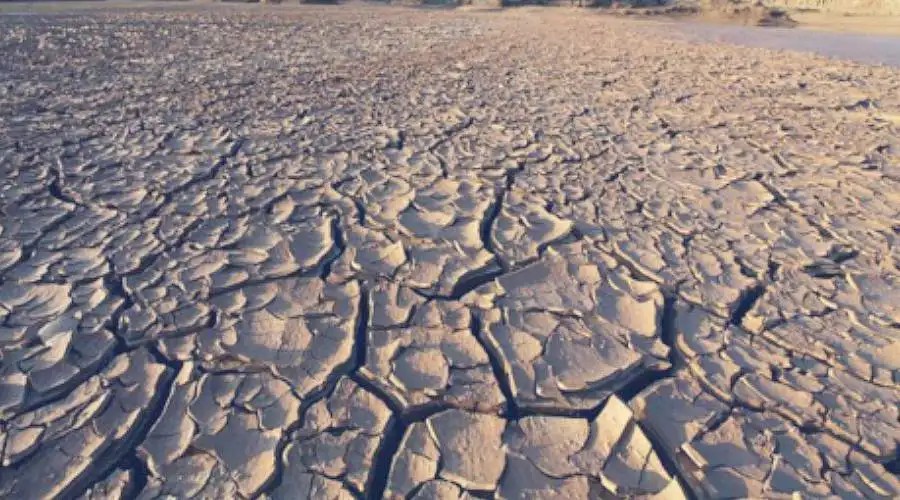 沙漠变绿洲对地球有什么影响,沙漠变绿洲这属于什么现象