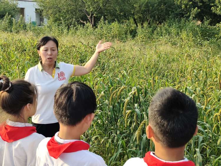 劳动实践促成长心得,劳动助成长实践促发展记录表