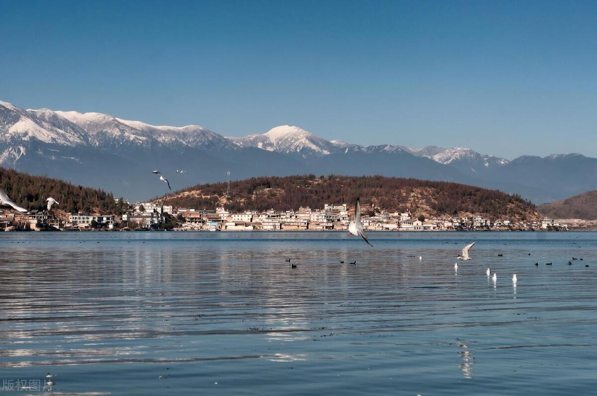 冬季云南自由行攻略详细版,云南旅游如何一天玩转大理