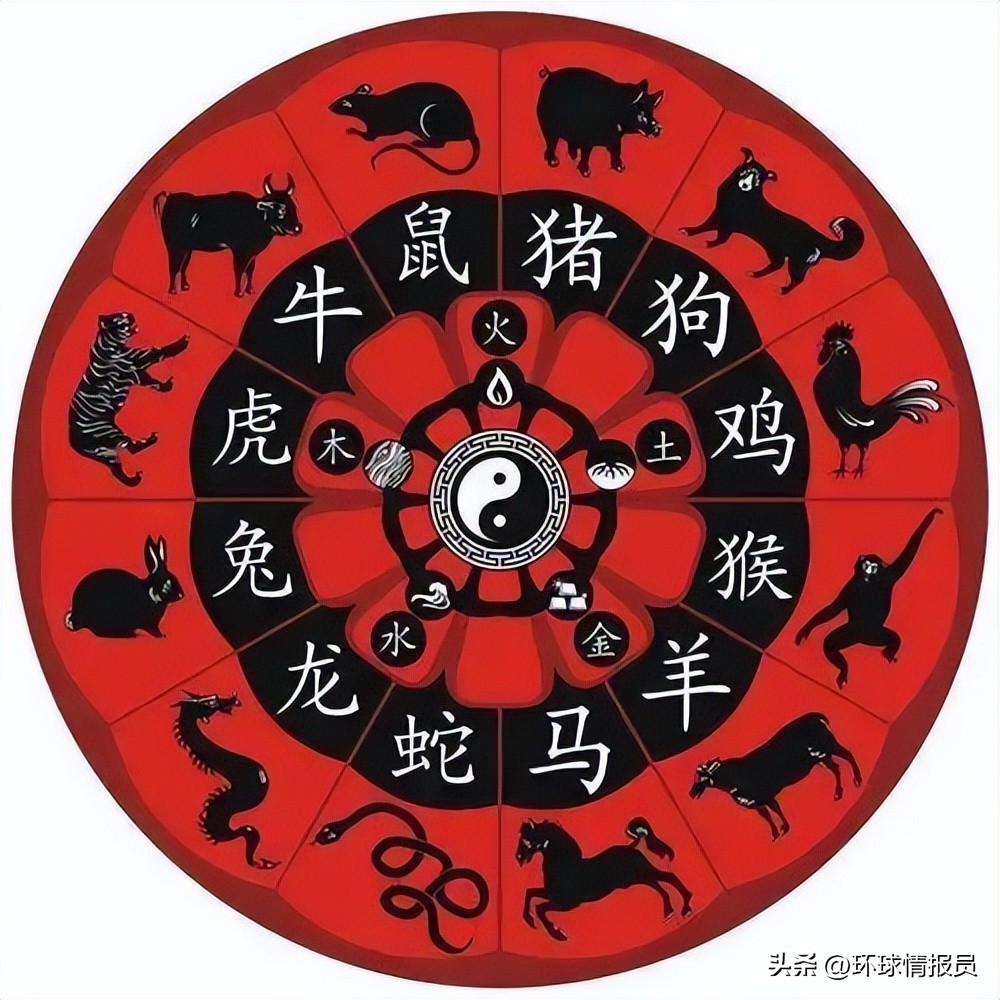 猫也能混进十二生肖？越南为什么不过兔年，而是过猫年？