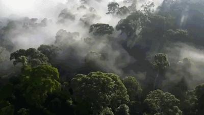 避暑推荐旅游攻略,冷门避暑地方推荐