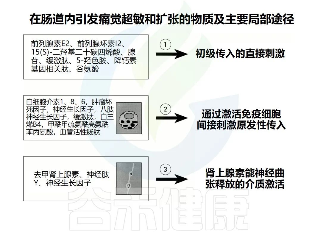 腹胀胃隐痛查不出原因,腹胀腹痛是肠道问题吗