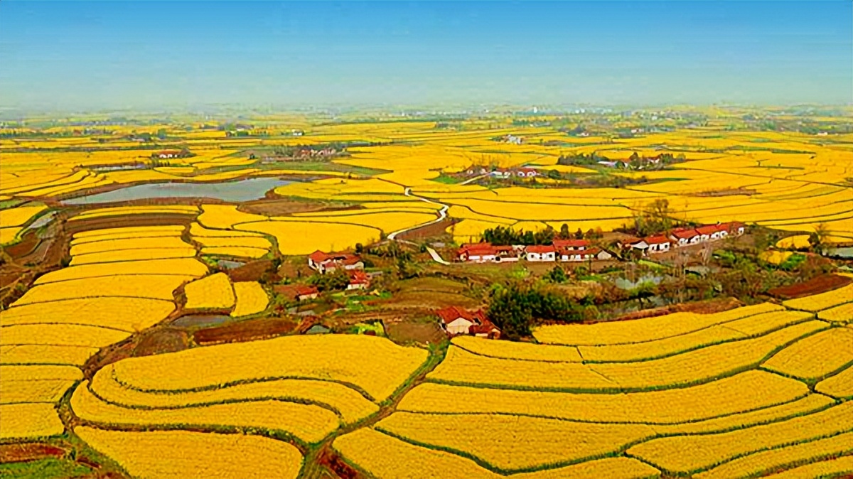 历史上的沙洋县,沙洋为什么是中华第一县