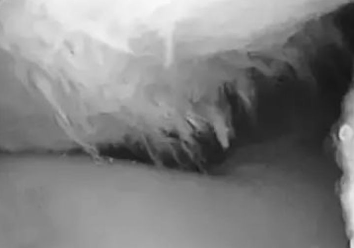 在家待久了脚痛,在家待久了胳膊关节痛