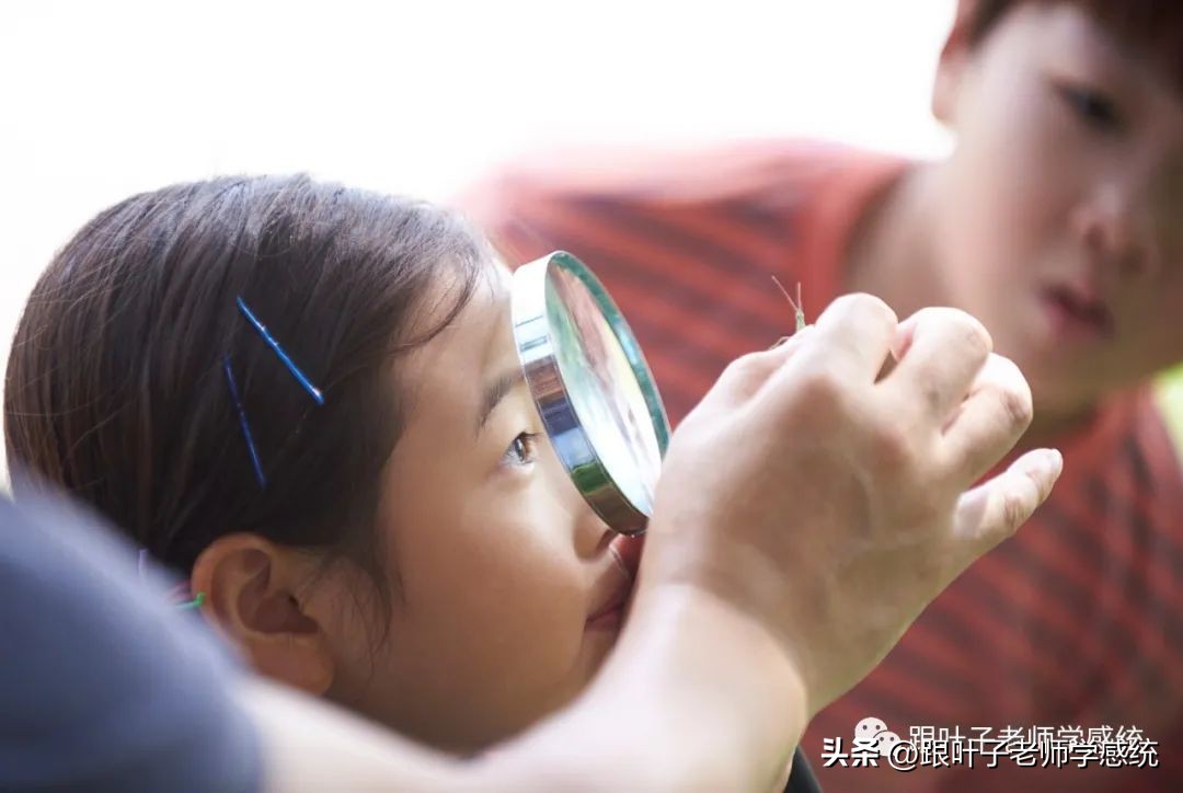 孩子遇到学习的问题不会自主思考,学过的知识不会了怎么办