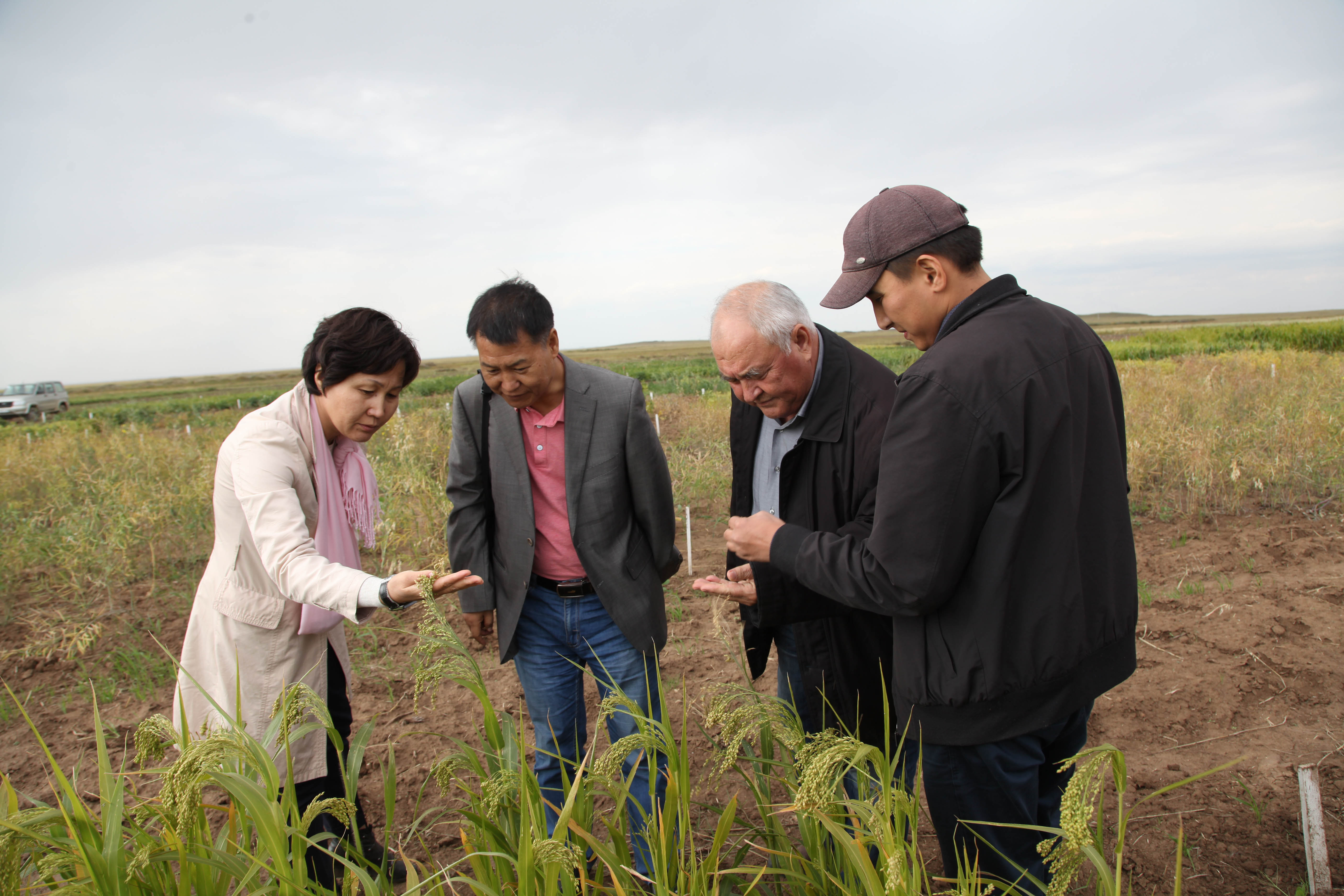 农业科技这十年丨冯佰利：深耕小杂粮成就品牌“天下知”