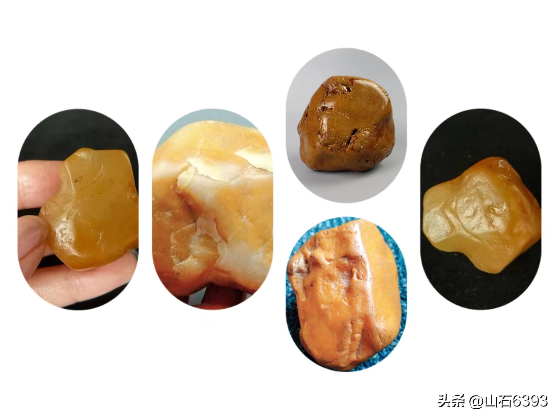 寮犳鐜夌煶鍒嗕韩,寮犳鐜夌煶