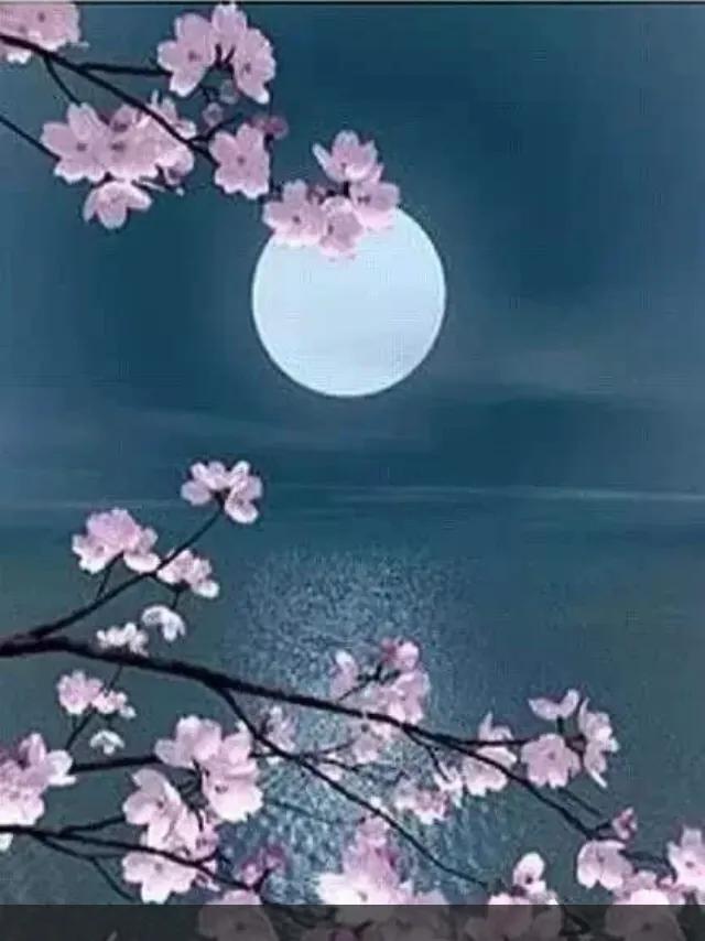 健忘症什么意思,健忘症要怎么治疗