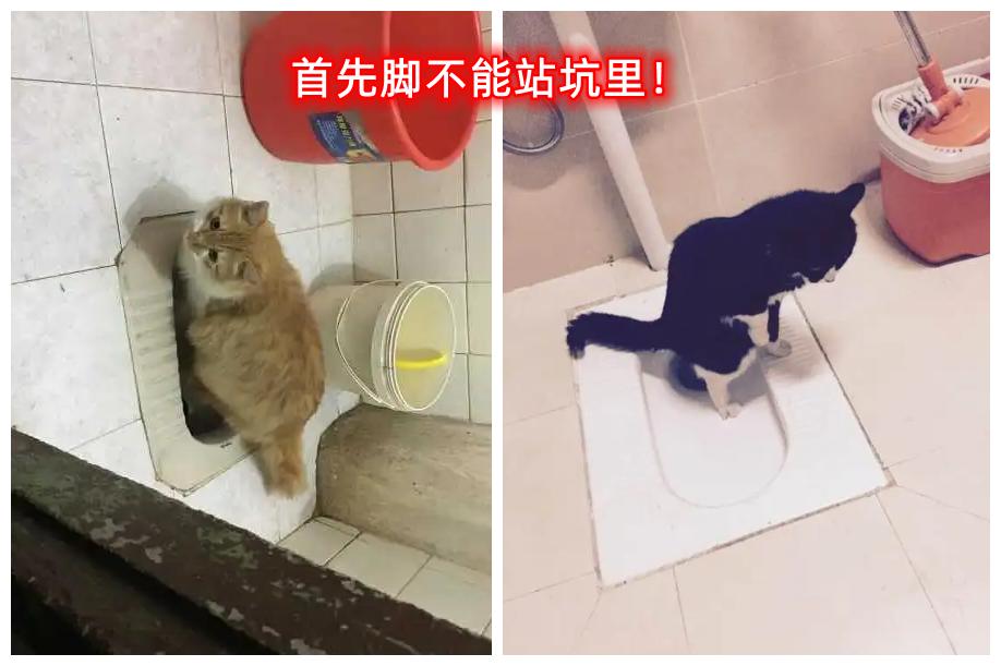 小学生社死现场,小学生社死