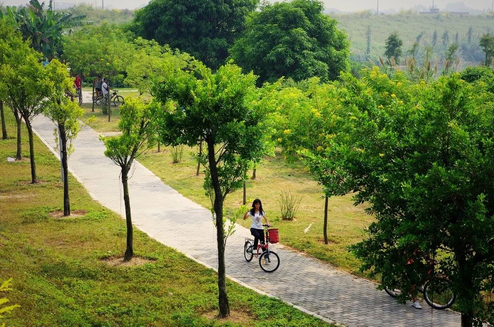 广州鹤之洲湿地公园游玩攻略简介,增城凤凰古城一日游最佳去处