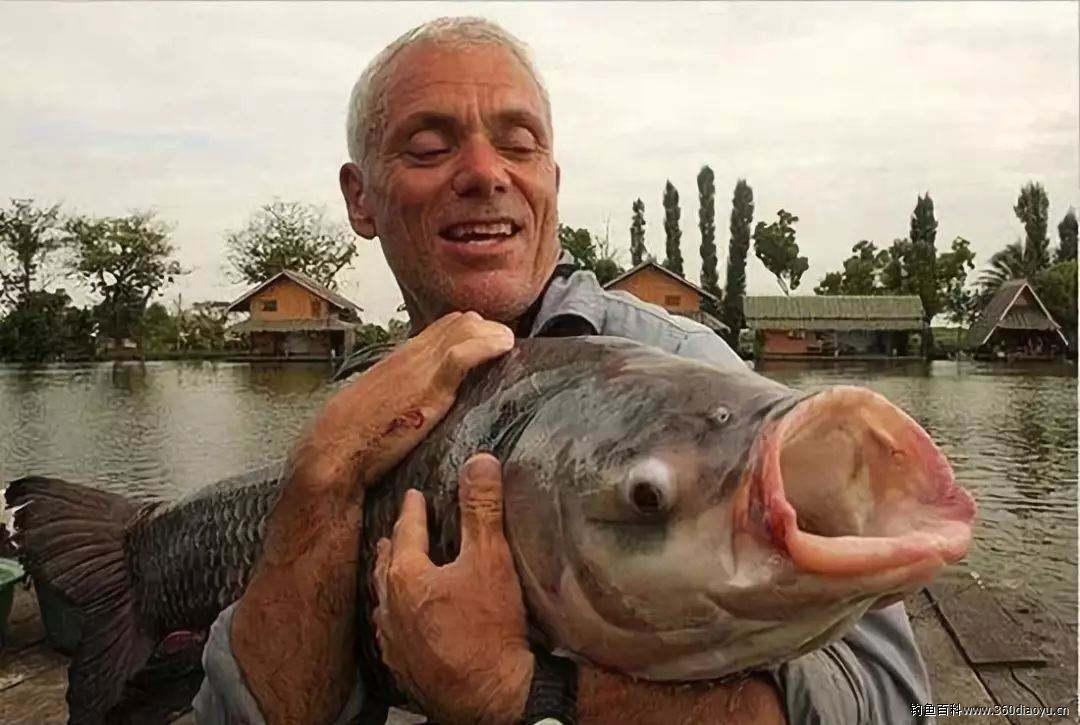 建议不吃这六种鱼有甲醛,三种鱼含甲醛重金属超标切记