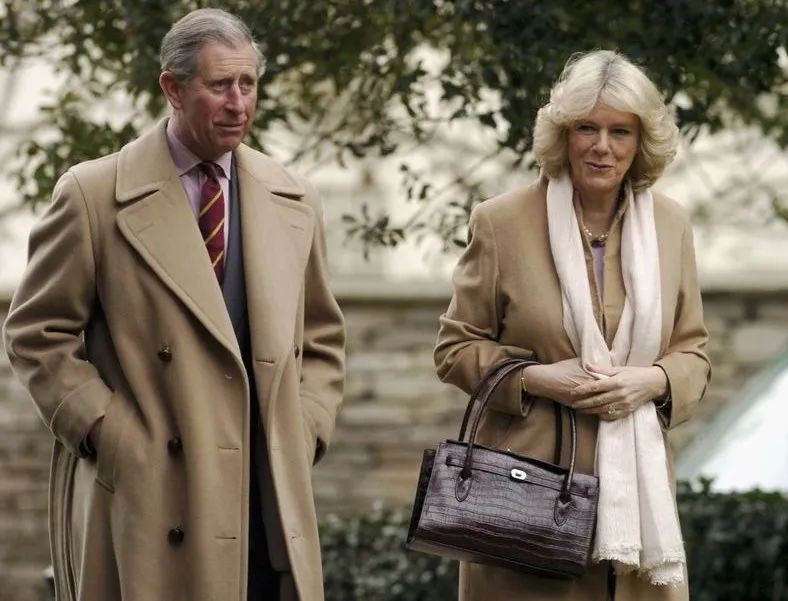 卡米拉出尽风头,卡米拉靠什么被女王认可