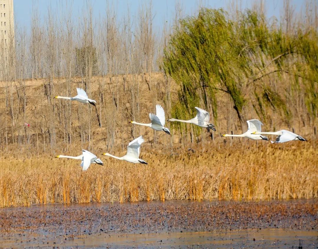 济南周边春季采摘一日游,冬季济南温泉旅游攻略