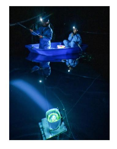 占地45亩的标准足球场馆,116公顷几个足球场