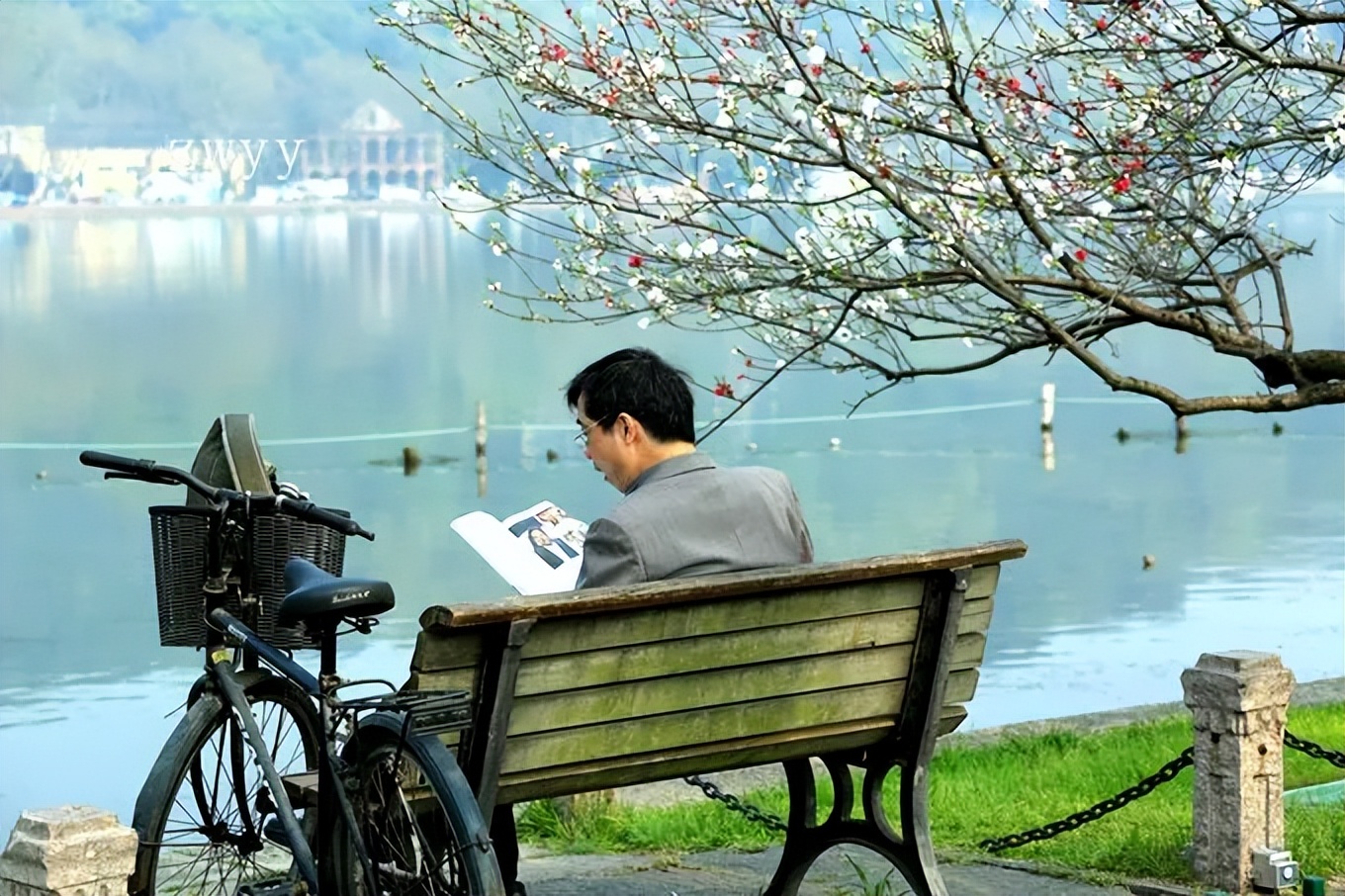 50岁以后最好的活法视频,50岁以后最高级的活法