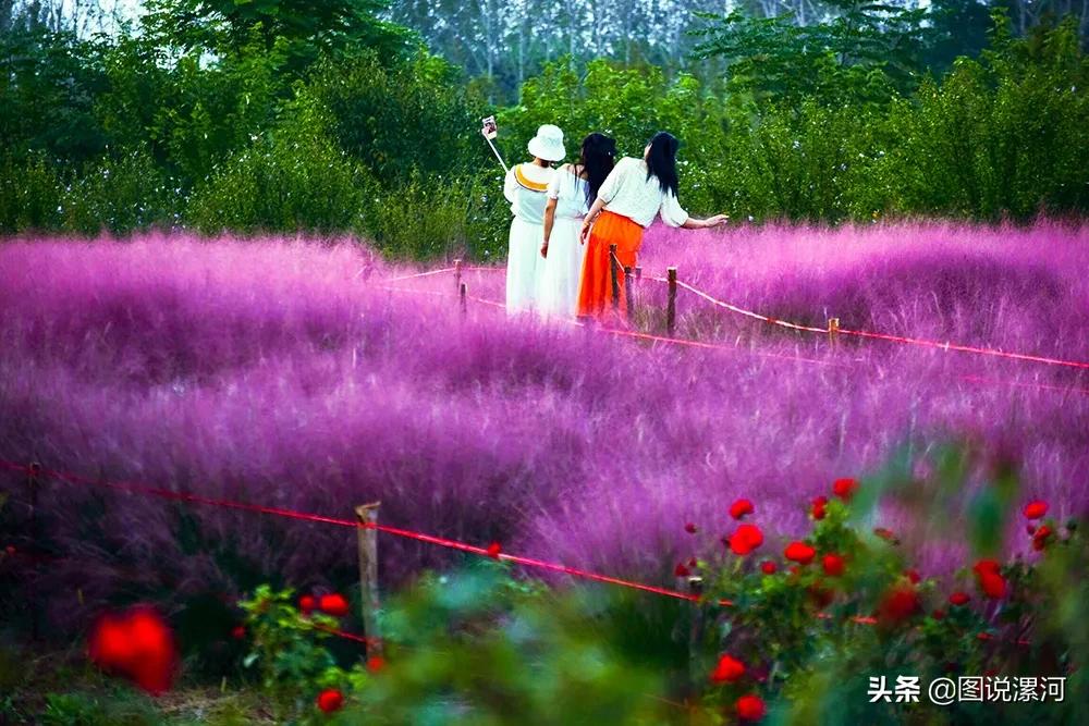 获奖摄影比赛作品,摄影比赛获奖名单公示