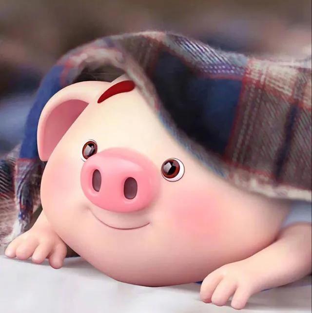 猪肉股票的趋势分析图,猪肉股票基本面分析