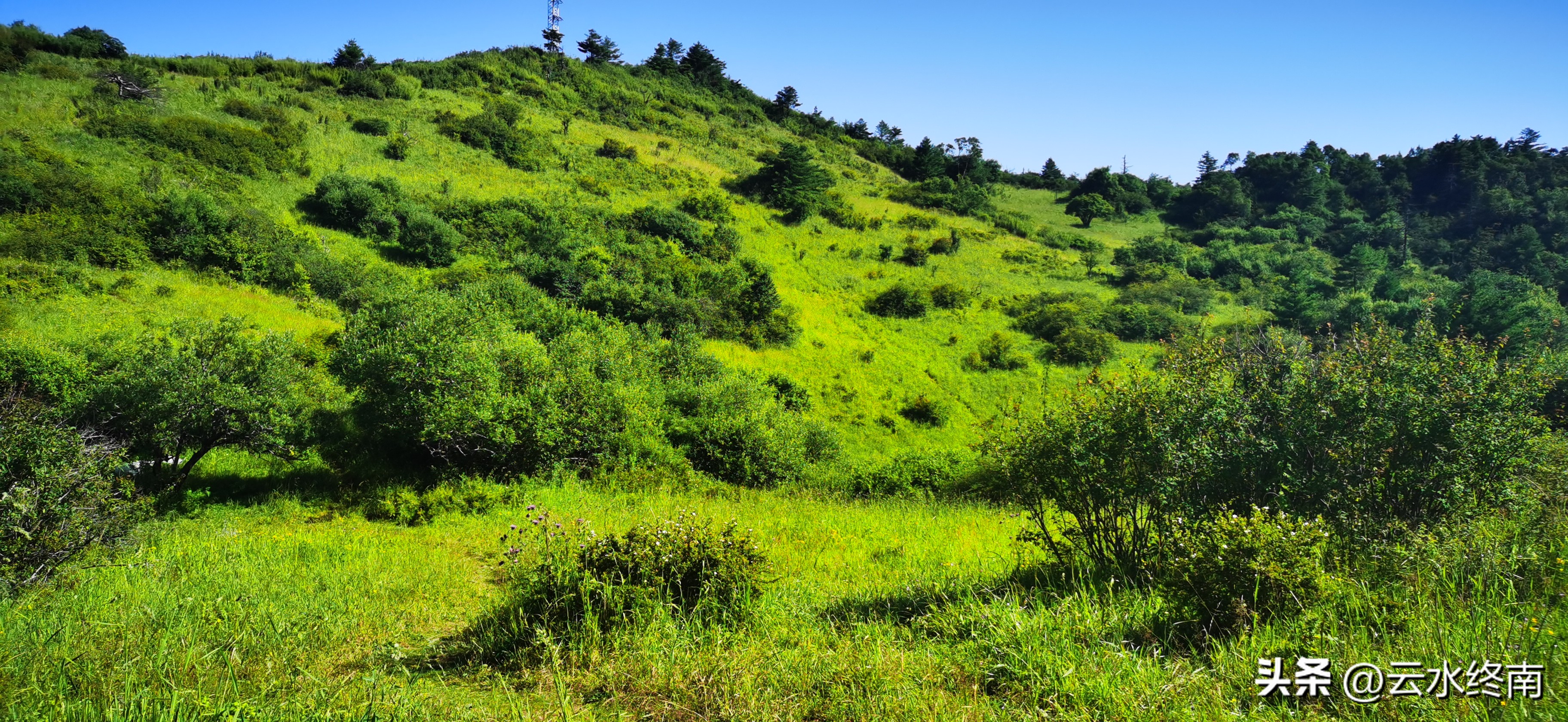 陕南古镇游推荐,陕南七天旅游线路攻略