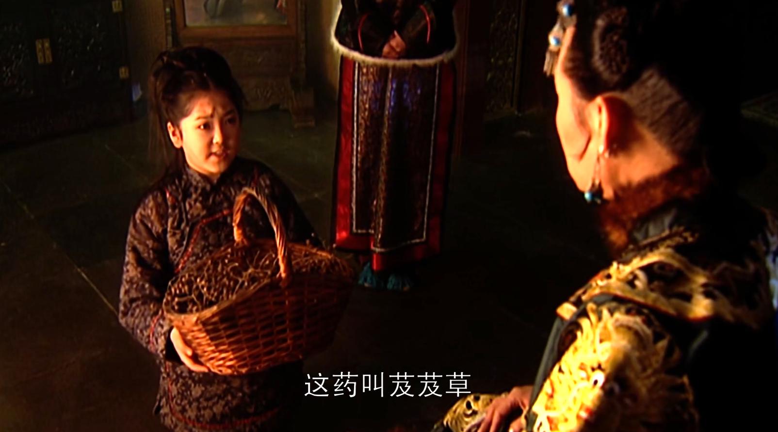 康熙王朝救玄烨,康熙王朝芨芨草救康熙