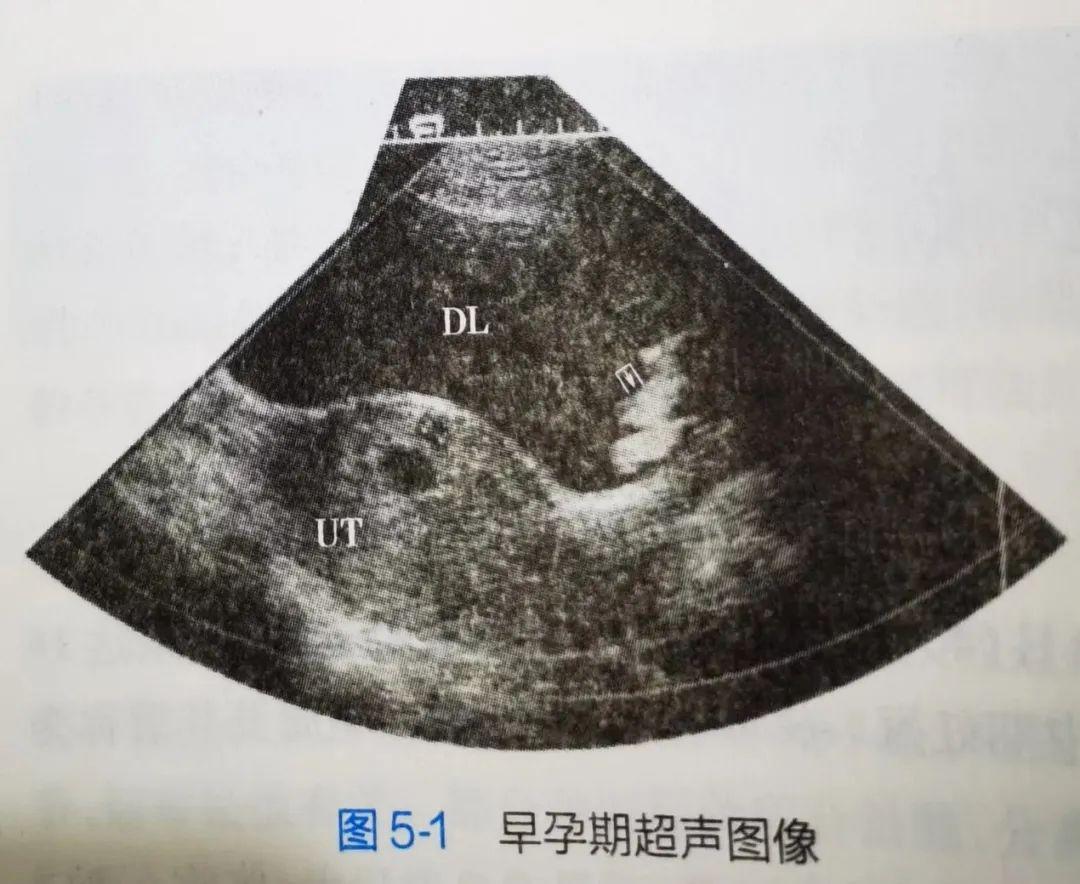 孕期妈妈的成长与心灵蜕变,孕期营养好宝宝更健康