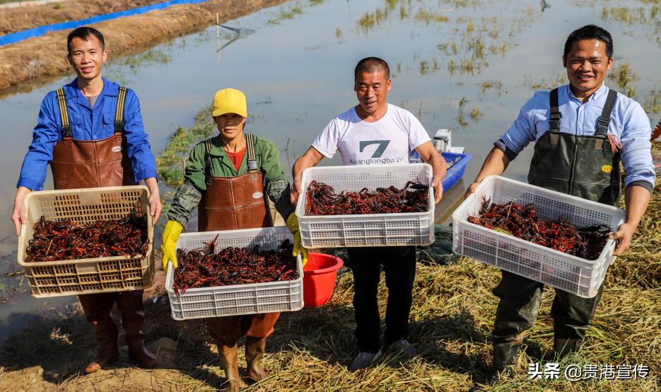 稳中求进高质量发展——贵港市2021年经济社会发展综述