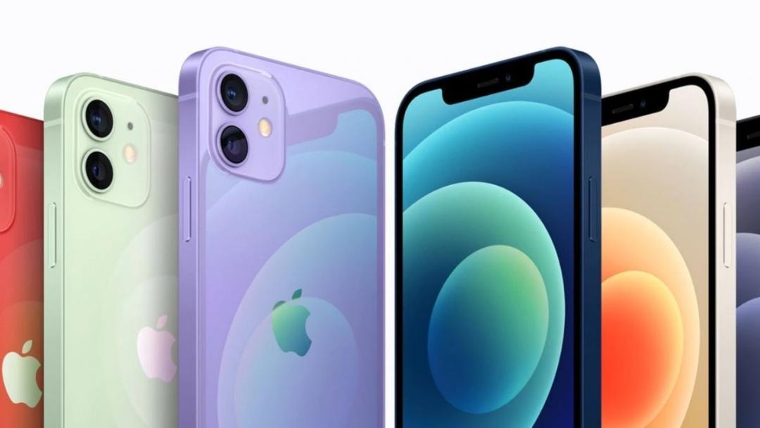 一个苹果让我们明白了什么,看到苹果你会想到什么呢