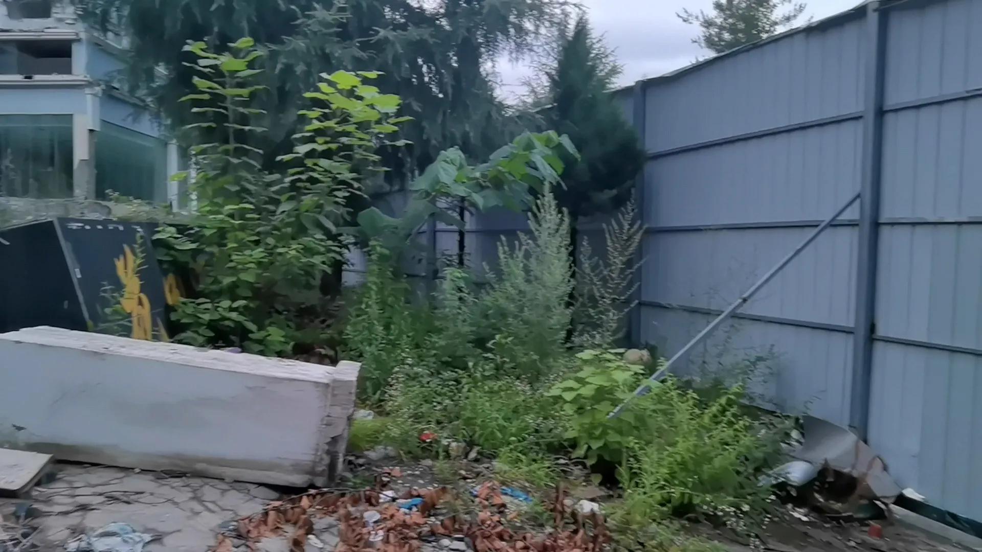 神农架木鱼镇老地方,神农架木鱼镇历史