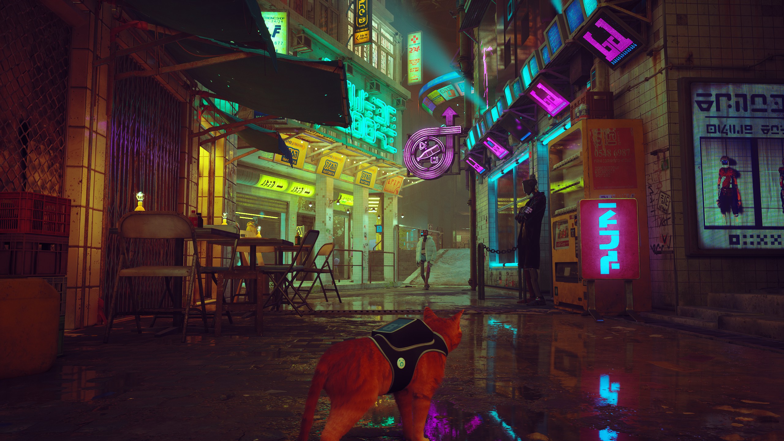 stray新游戏,stray这个游戏怎么样