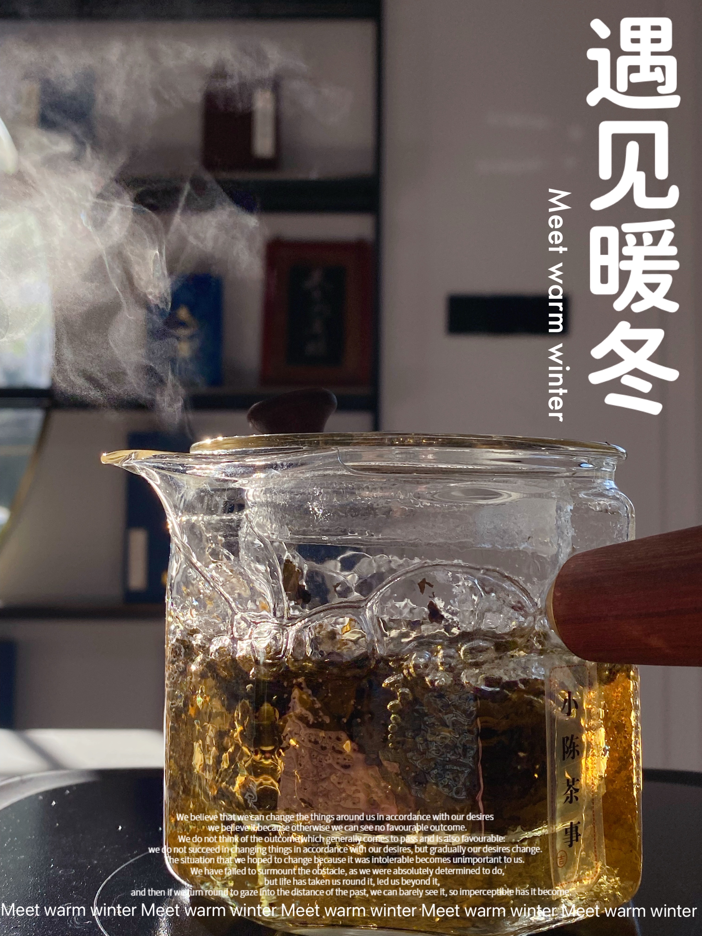 煮茶专用陶壶单壶,玻璃壶耐高温煮茶单壶