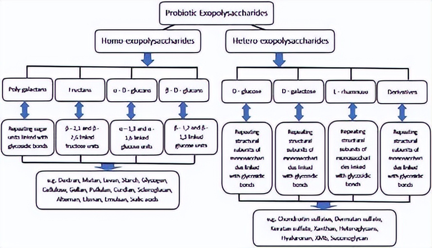 涔抽吀鑿岃優澶栧绯栫殑鐮旂┒杩涘睍,澶氱硸瀵逛钩閰歌弻鐩婄敓浣滅敤鐮旂┒杩涘睍