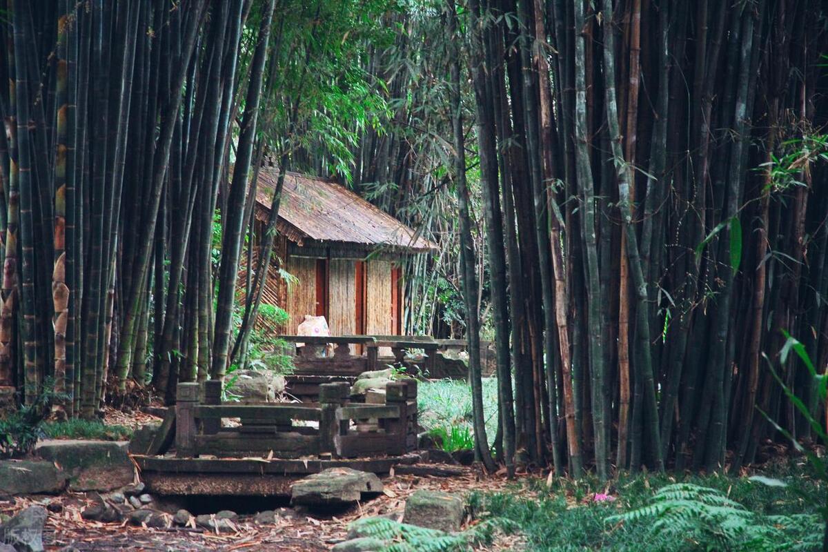 成都旅游全攻略春熙路,成都旅游攻略来了春熙路
