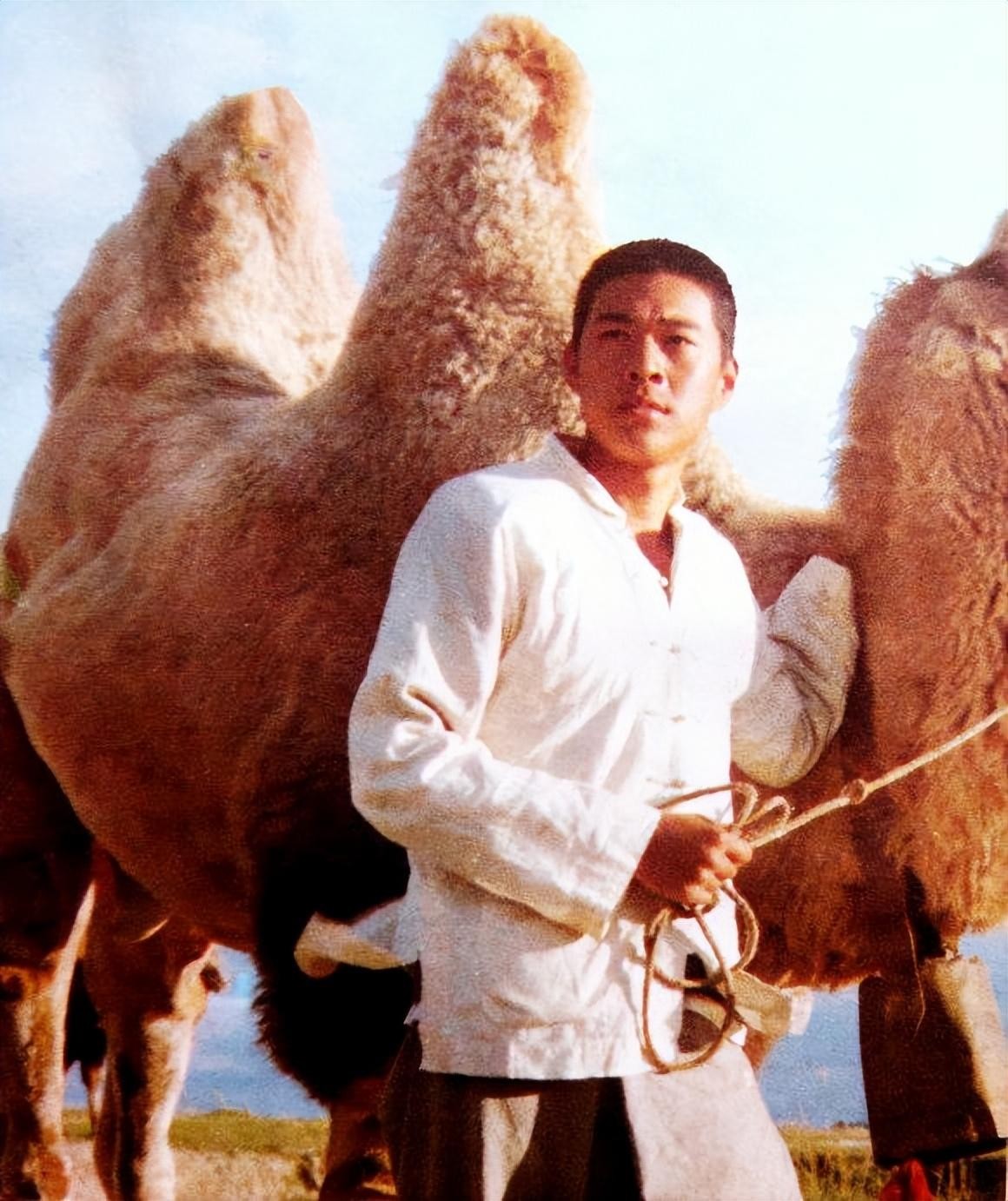 张丰毅的老婆吕丽萍,张丰毅和吕丽萍分手原因