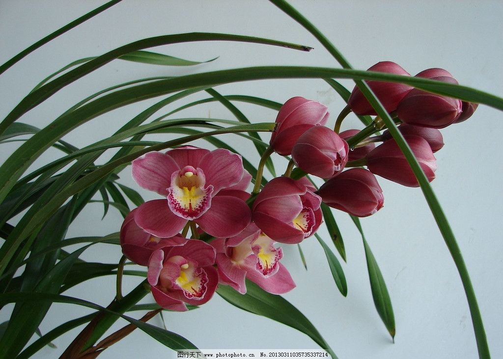 妊娠情感事记（2）彩超室里的尴尬让我对医生的工作多了尊敬