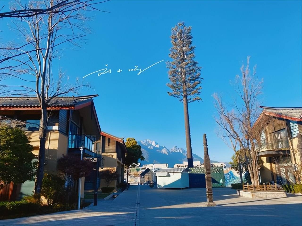 云南旅游十大必去景区,云南十大顶级旅游景点