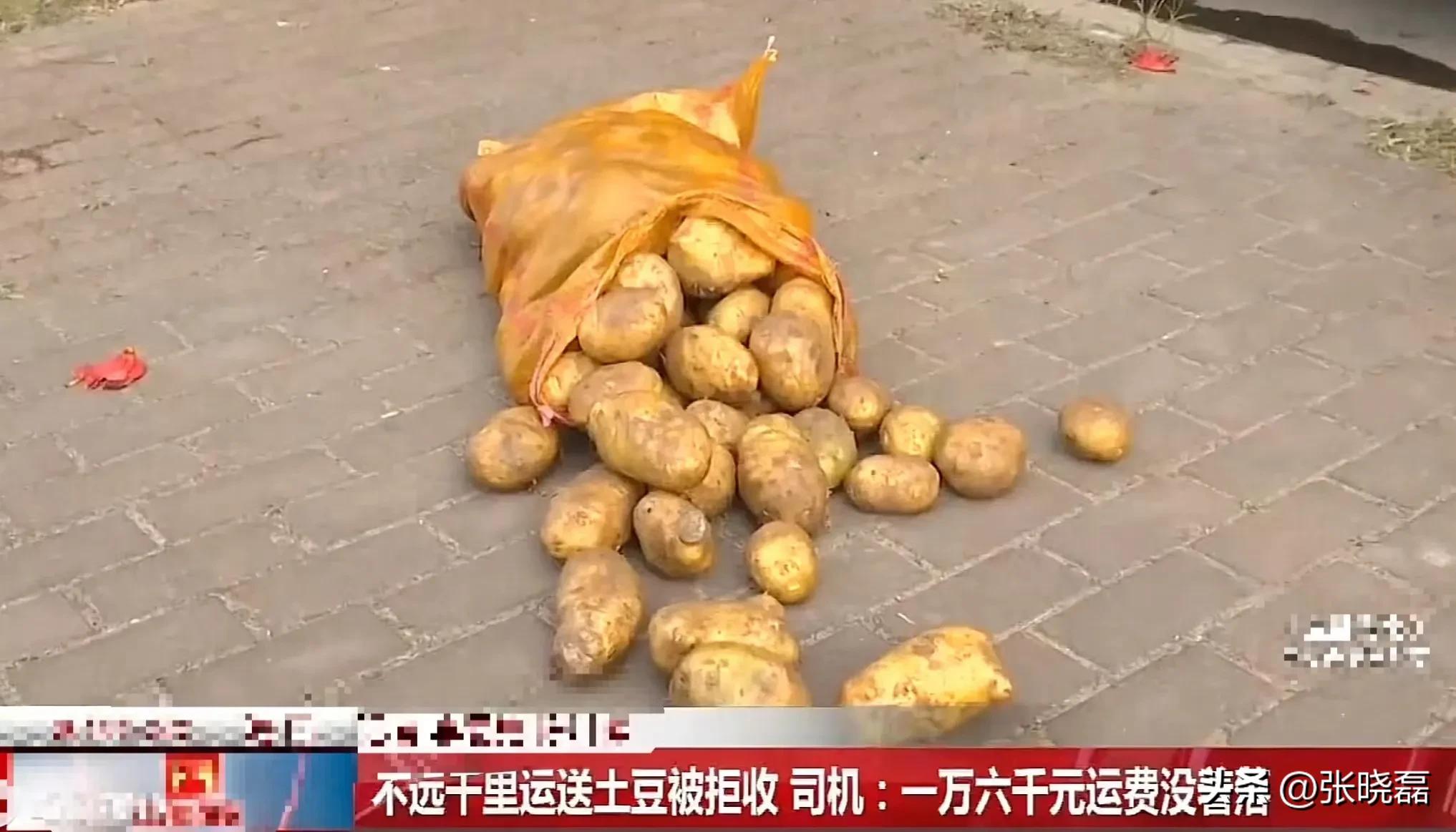 司机从甘肃拉一车土豆到海南,收货方拒收，也不付运费！司机：我不能白拉啊？收货方：没收货，凭啥付运费？