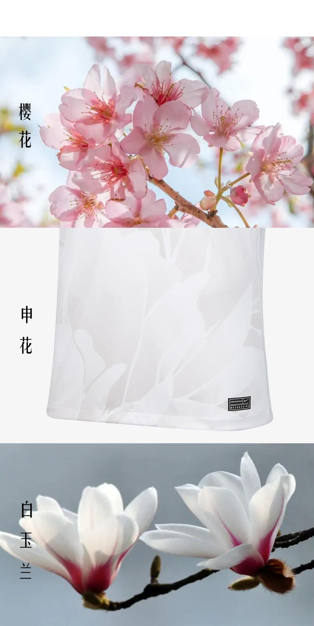 申花球衣最新款,申花最新款球衣是哪一款