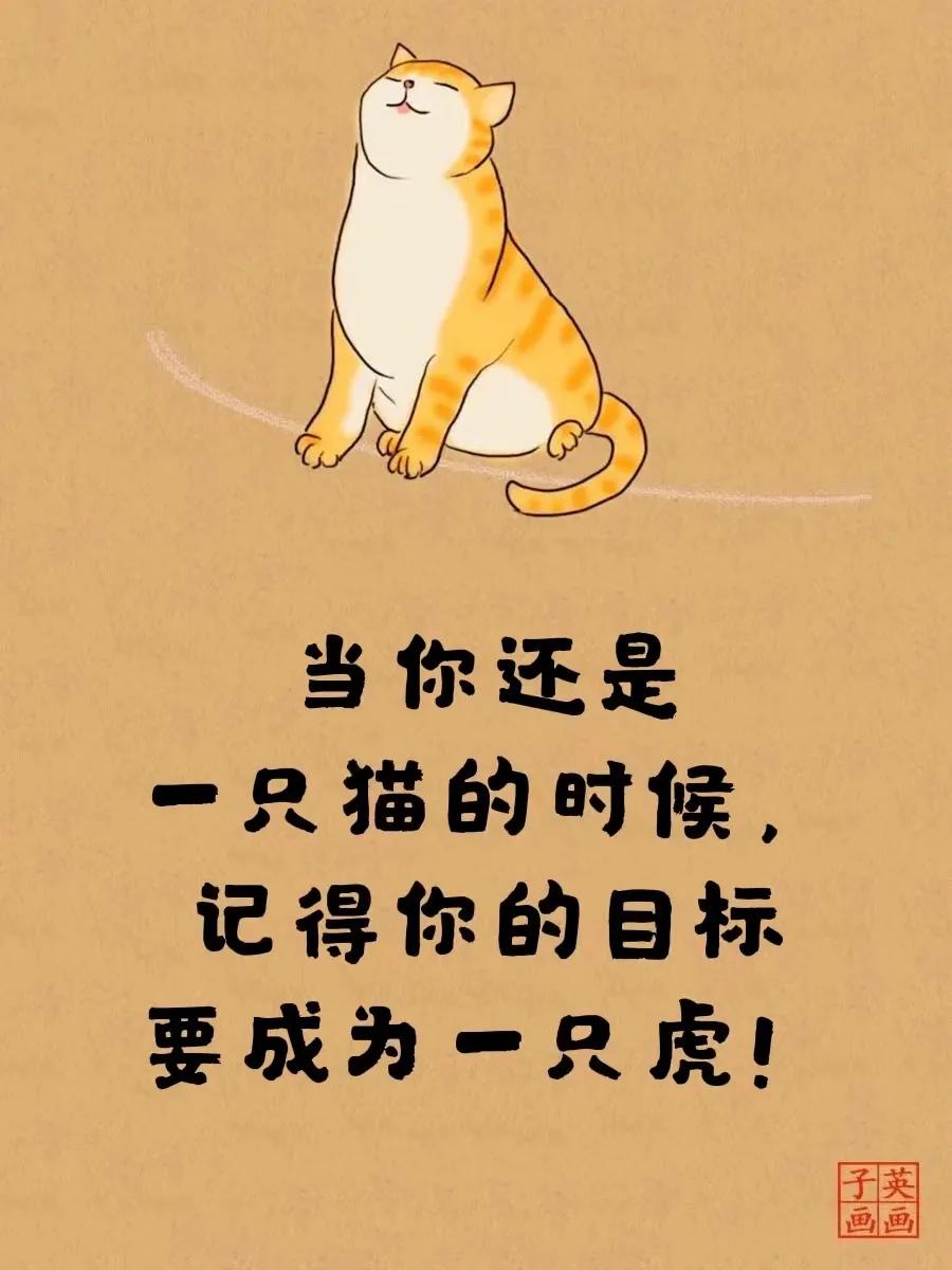 老虎不发威你得拿我当病猫,老虎不发威你不要当我是病猫