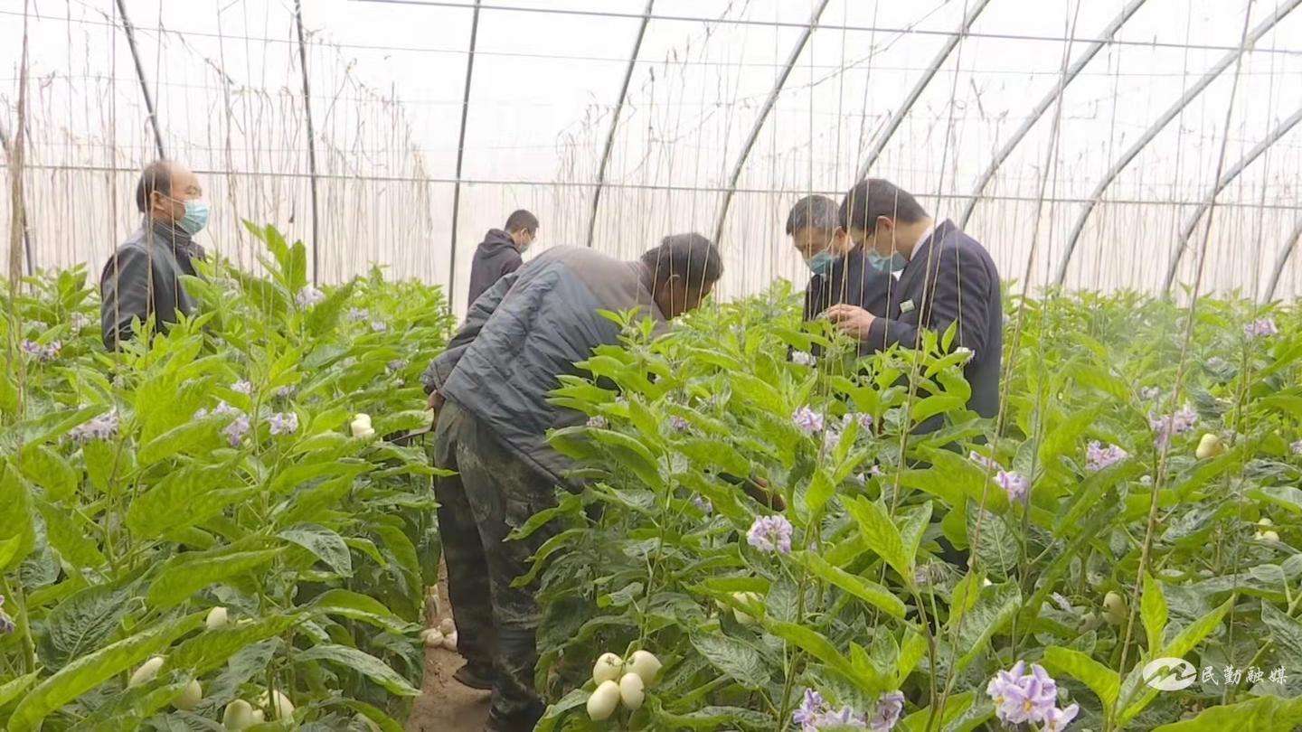 农商银行厚植普惠金融根基,全市农商银行凝聚共识奋进新征程