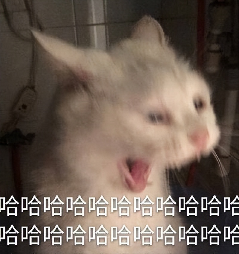 大润发好看的裙子,大润发仙女裙