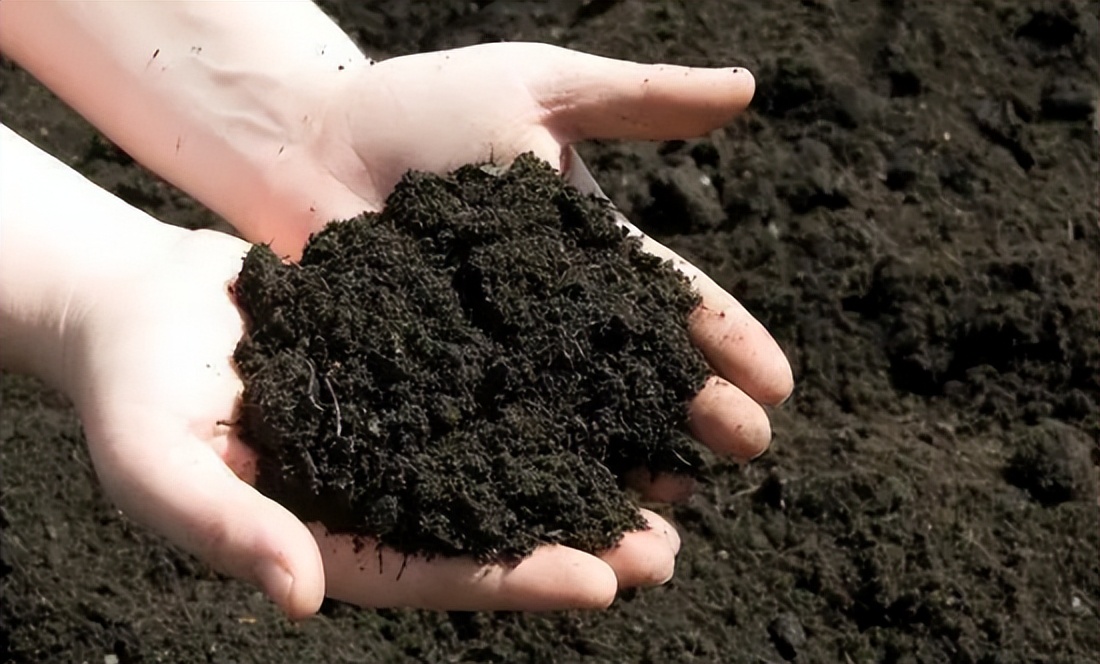 是谁在砸中国人的饭碗？400年才形成的黑土，4元一斤在网上被盗卖