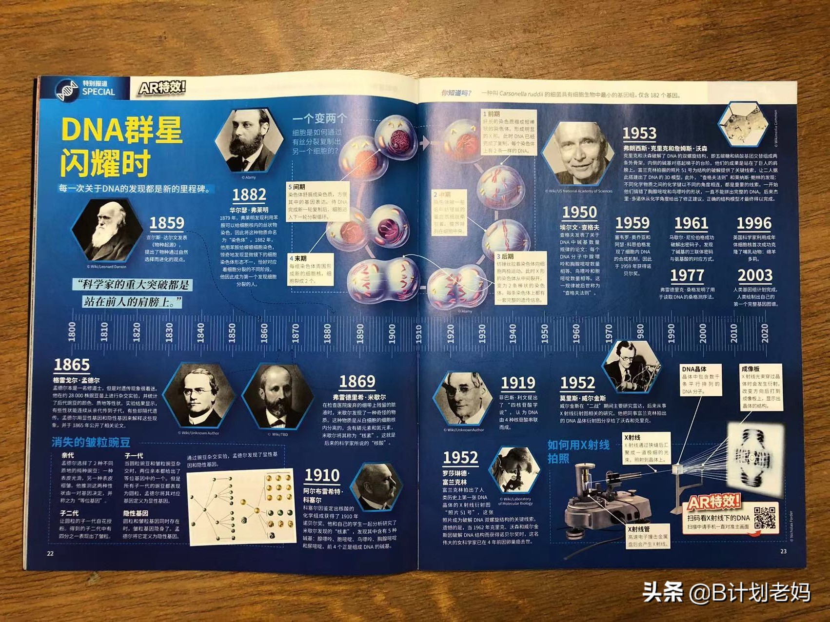 科普杂志万物怎么样,小学必读科普书籍万物的由来